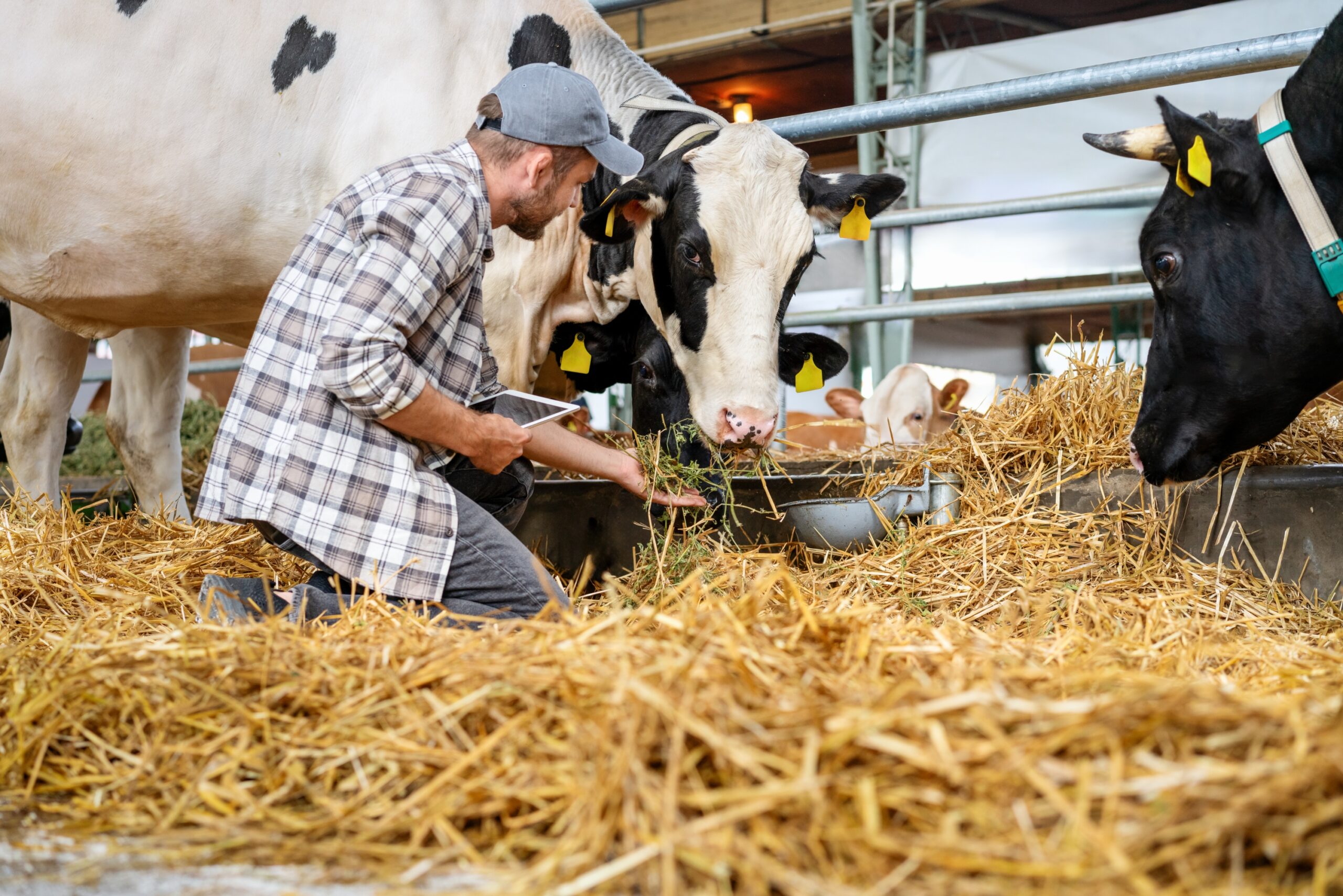 milk industry in the modern world blog
